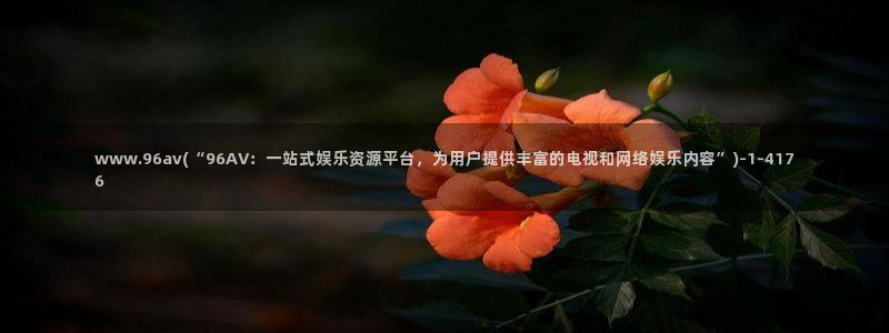 影视先锋av资源站男人