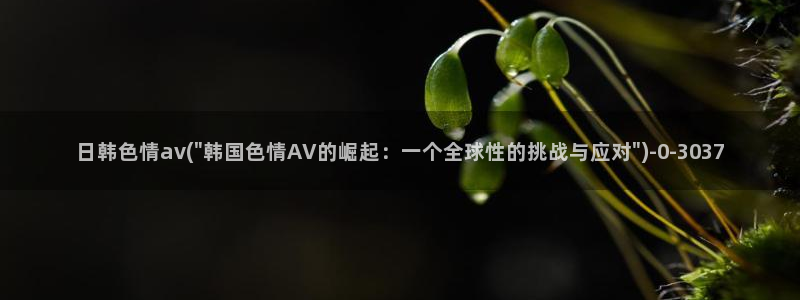 av网站你懂得