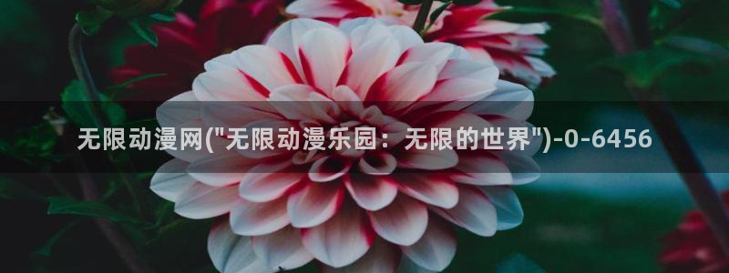 动漫网址