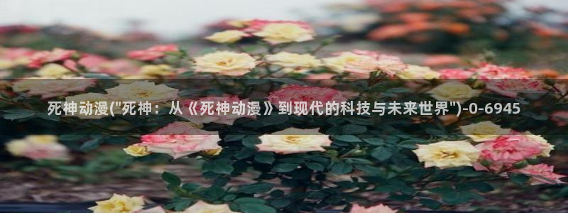 BL动漫