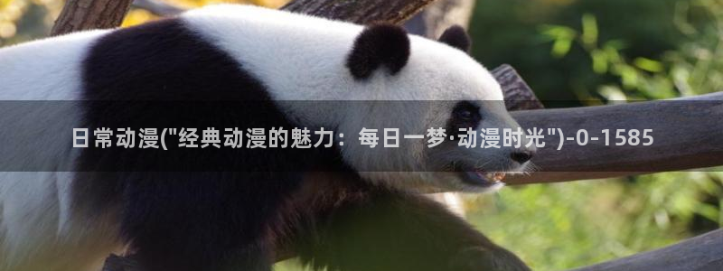 动漫成人