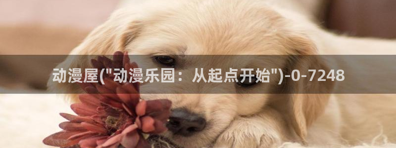 动漫女生