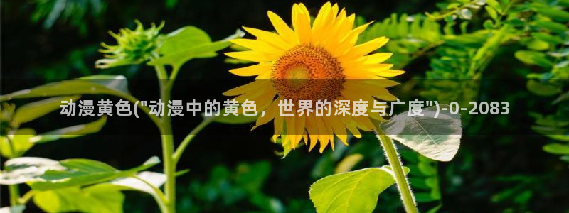 在线观看动漫