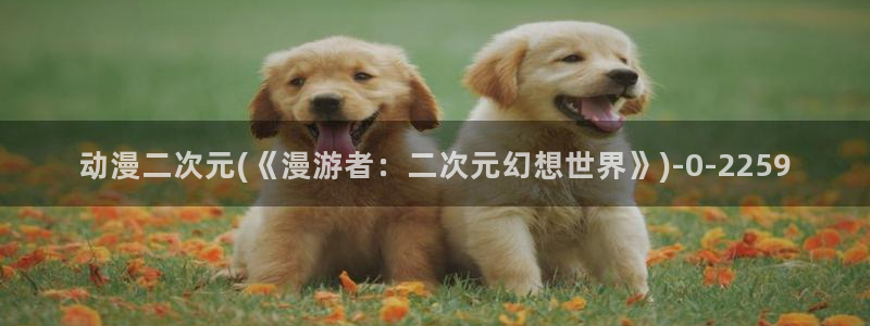 斗破苍穹动漫：动漫二次元(《漫游者：二次元幻想世界》)